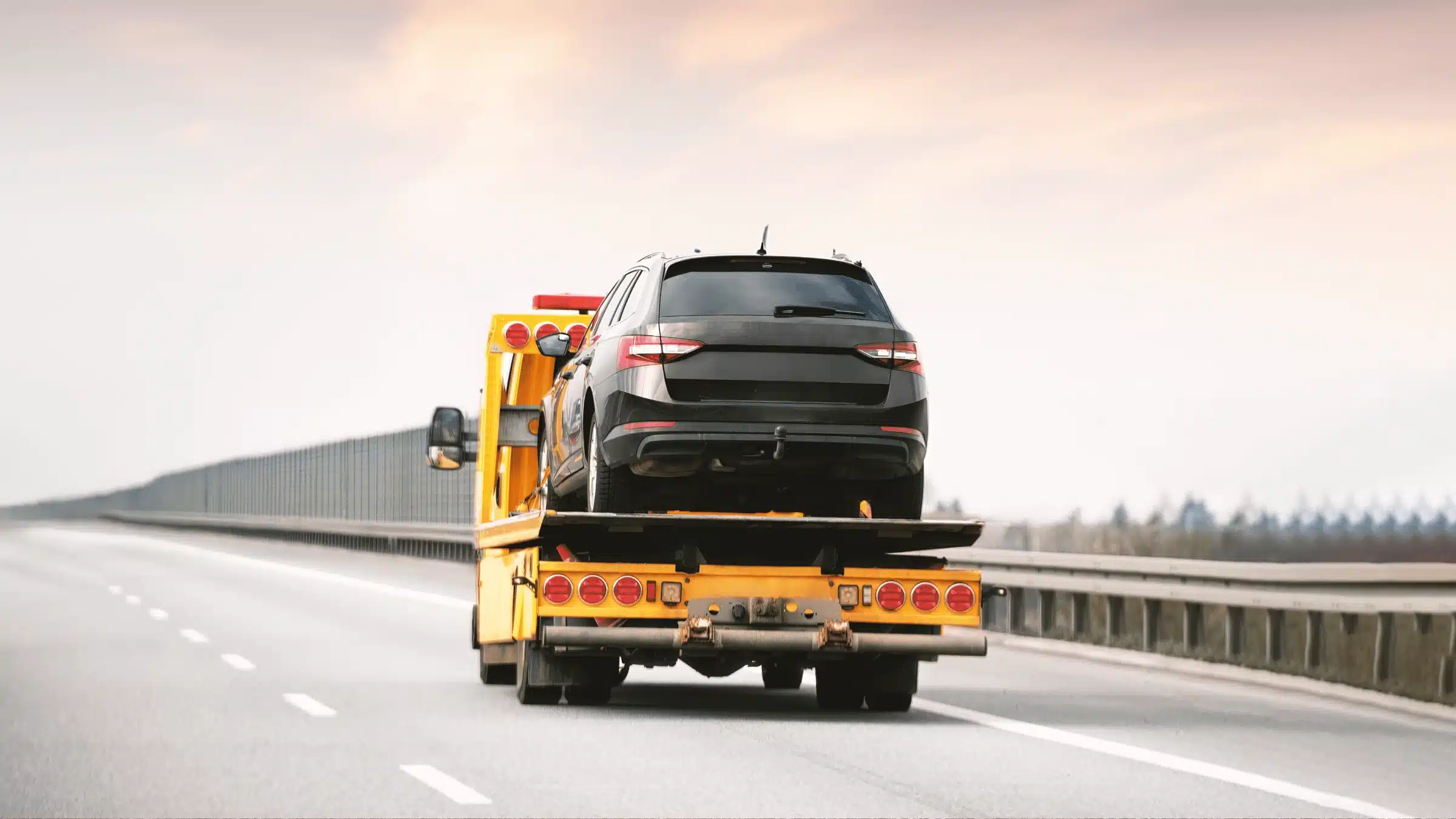 camion remorque topdon europe